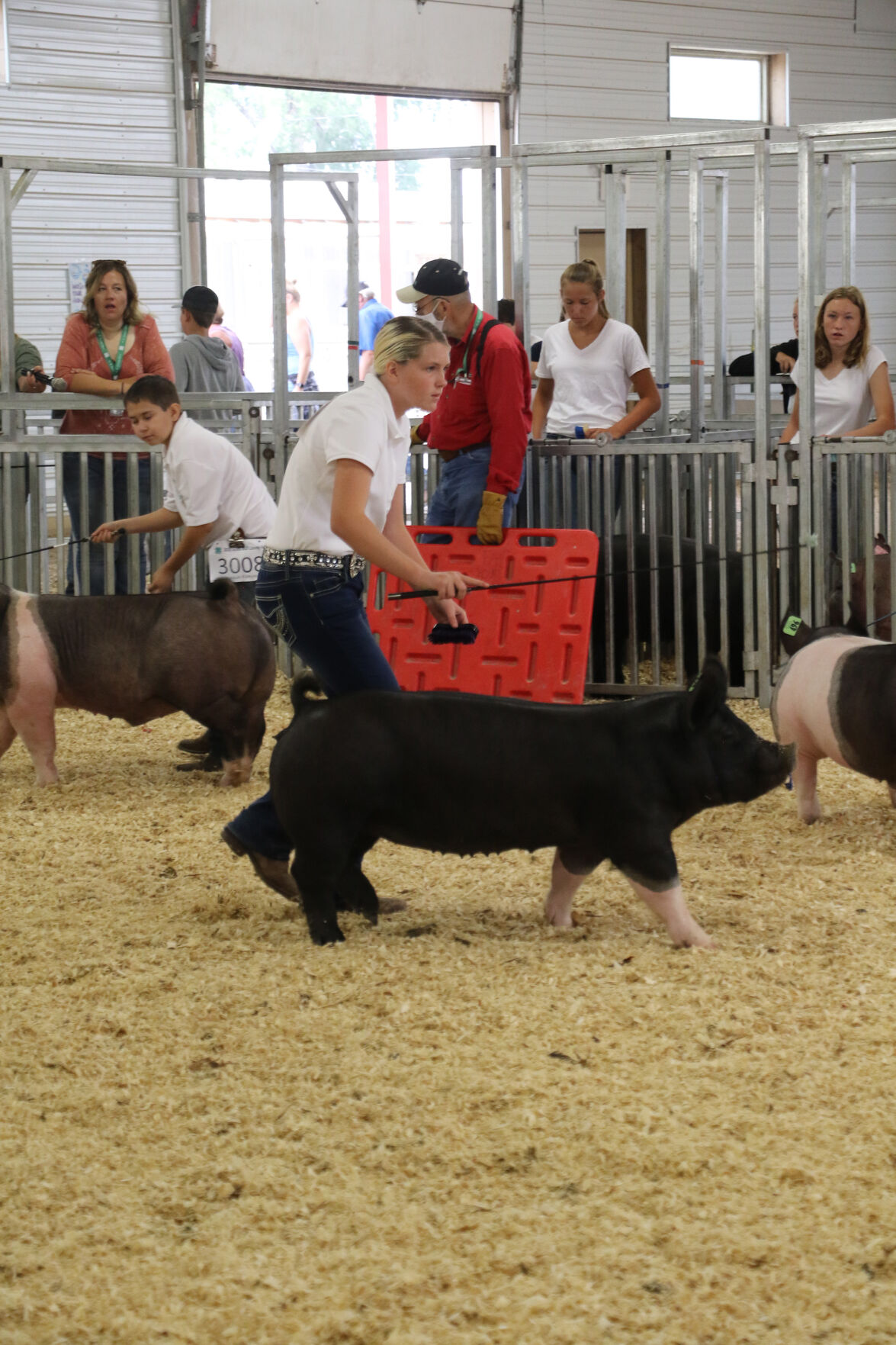 PHOTOS: Pig Showmanship